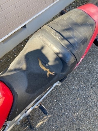 バイクVTR250 乗れます