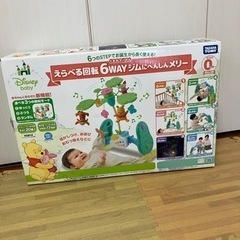プールさんのメリー　ジムの画像