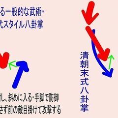 初心者向け清末八卦掌護身術講座2｜敵攻撃を防ぐ方法。一緒に下がっ...
