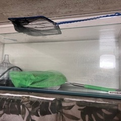 GEX60cm水槽セットの画像