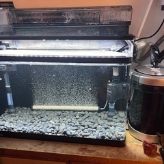 GEX60cm水槽セット