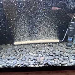 GEX60cm水槽セットの画像