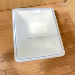 生活雑貨 食器 プレート