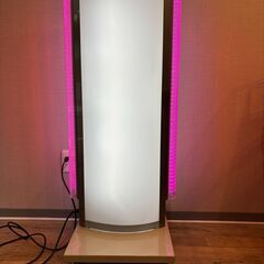電飾看板　点滅LEDライト付き