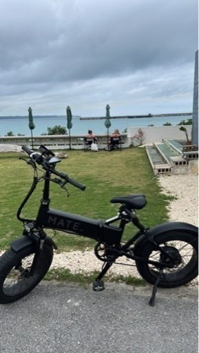 電動アシスト自転車