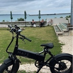 電動アシスト自転車