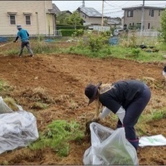 お庭のお手入れします。