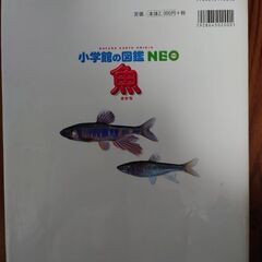図鑑　小学館　Neo 「魚」の画像