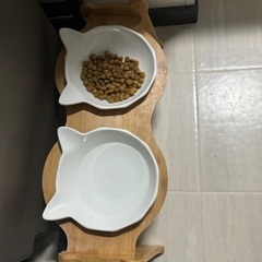 猫用　食器の画像