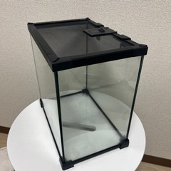 爬虫類ゲージ　水槽の画像