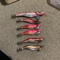 エギ　アオリイカ
