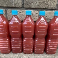 PSB 900ml 1本の画像