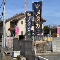 😁ご来場、ありがとうござぃました🚨😄メダカ掬い  ファームドゥ沼田