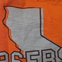 90㎝ 半袖の画像