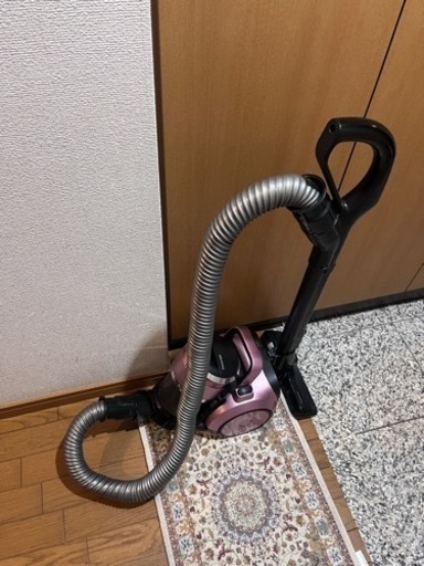 家電 生活家電 掃除機