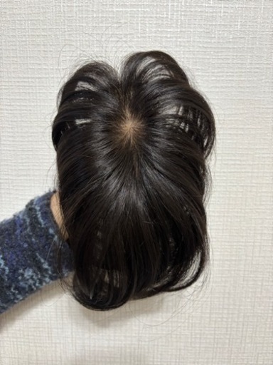 人毛ウィッグ