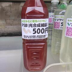 PSB（光合成細菌） 500ml　エビオス不使用！　24時間営業...