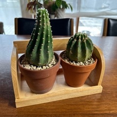 収納ボックス