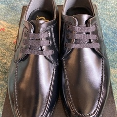 REGAL(リーガル)corporation　professio...