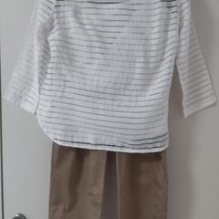 INDIVI 春秋用カットソー 美品 Mの画像