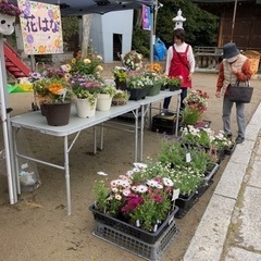5/5諏訪神社花市 − 福島県