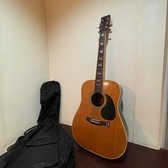 楽器 弦楽器、ギター