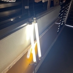 電気💡の画像