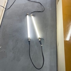 電気💡の画像