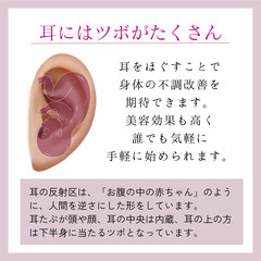 5/22(火)【耳つぼキット付】1Day👂🏼耳ツボセラピー講座💜の画像