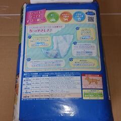 マナーウェア中型犬Lサイズ　男の子用の画像