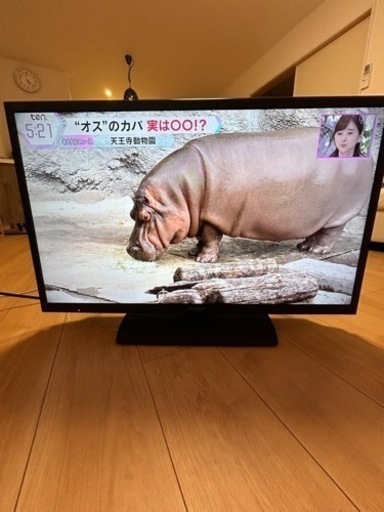 テレビ