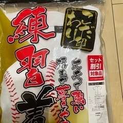 スポーツ 野球