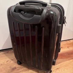 【4/28まで】ムーミン キャリーバッグの画像