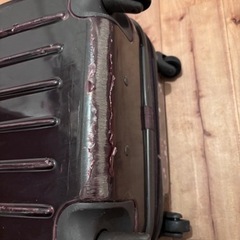 【4/28まで】ムーミン キャリーバッグの画像