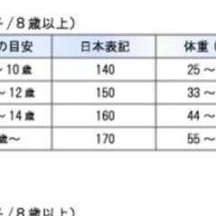 ポロバイラルフローレン　キッズ　パーカー　160サイズの画像