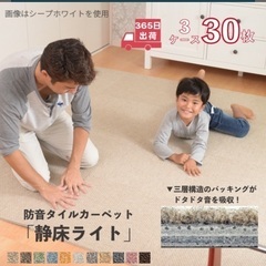 シープホワイトの中古が安い!激安で譲ります・無料であげます シープホワイトの中古が安い!激安で譲ります・無料であげます