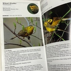 An Audubon Handbook EASTERN BIRDS 1988年の画像