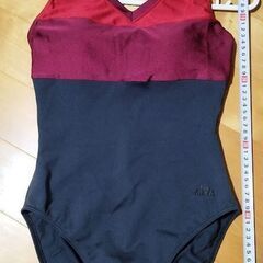 超光沢　Ellesse 日本製　ESP-101H　水着　レオター...