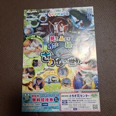 なかがわ水遊園　無料招待券