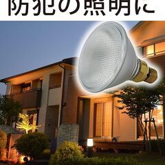 ハロゲンビーム球（中古品、屋外／屋内用）の画像