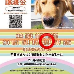 4月28日　保護犬　保護猫　譲渡会