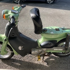 リトルカブ　c50
