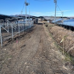 ５月中旬☀️作業員募集20名‼️太陽光建設に伴い　増員‼️