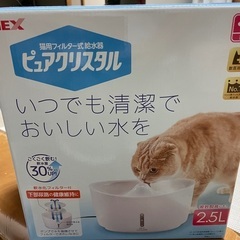 猫用