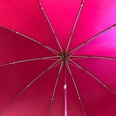 服/ファッション 小物 折りたたみ傘の画像