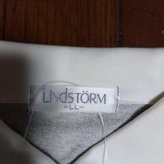 厚木方面🆗Ｌスポーツシャツ￥1980の品の画像