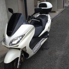 HONDAフォルツァМＦ‐０８後期仕様の画像