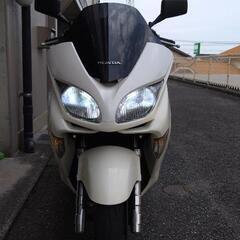 HONDAフォルツァМＦ‐０８後期仕様の画像