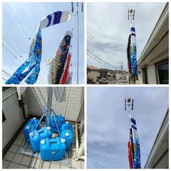 【本格派】鯉のぼり