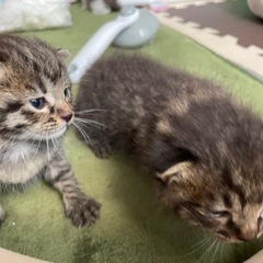 お問合せが殺到しておりますので、受付を中断させていただきます！ − 愛知県
